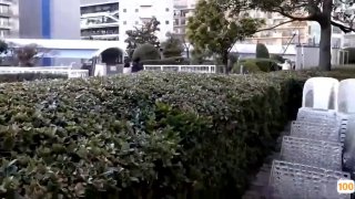 亚洲精品视频在线免费观看